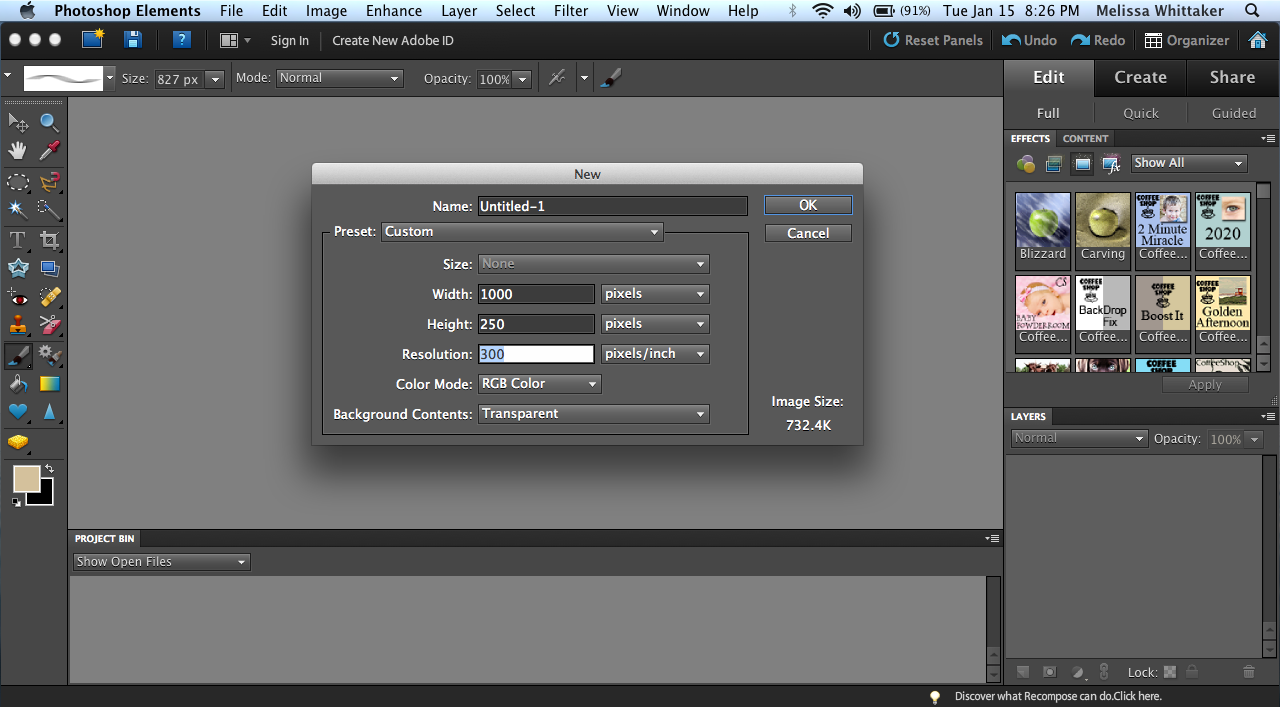 Adobe Photoshop Elements 15 Mac Free Download